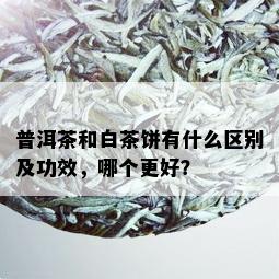 普洱茶和白茶饼有什么区别及功效，哪个更好？