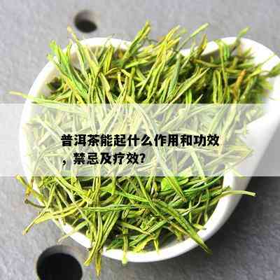 普洱茶能起什么作用和功效，禁忌及疗效？