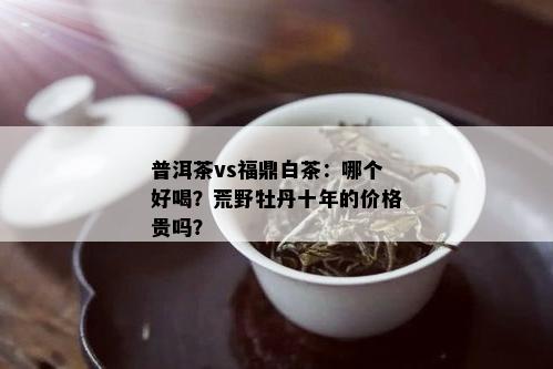 普洱茶vs福鼎白茶：哪个好喝？荒野牡丹十年的价格贵吗？