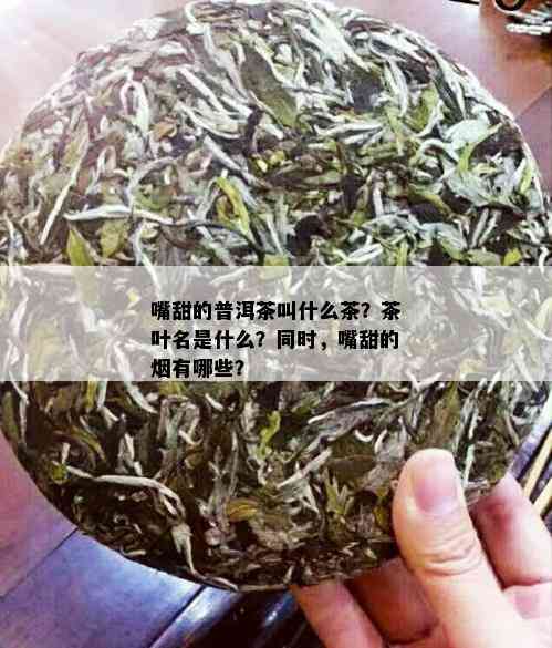 嘴甜的普洱茶叫什么茶？茶叶名是什么？同时，嘴甜的有哪些？