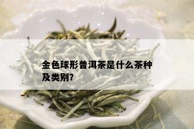 金色球形普洱茶是什么茶种及类别？