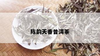 陈韵天香普洱茶