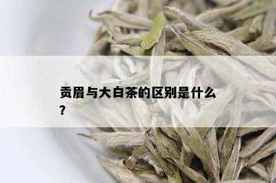 贡眉与大白茶的区别是什么？