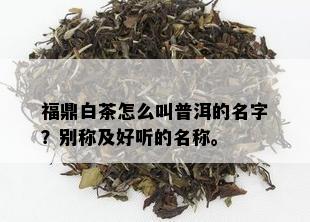 福鼎白茶怎么叫普洱的名字？别称及好听的名称。