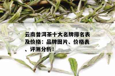 云南普洱茶十大名牌排名表及价格：品牌图片、价格表、评测分析！