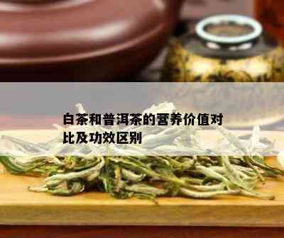 白茶和普洱茶的营养价值对比及功效区别