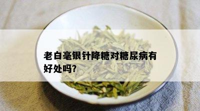 老白毫银针降糖对糖尿病有好处吗？