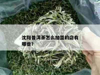 沈阳普洱茶怎么加盟的店有哪些？