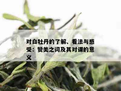 对白牡丹的了解、看法与感受：赞美之词及其对课的意义