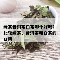 绿茶普洱茶白茶哪个好喝？比较绿茶、普洱茶和白茶的口感