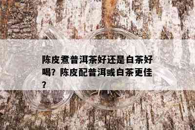 陈皮煮普洱茶好还是白茶好喝？陈皮配普洱或白茶更佳？