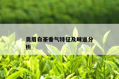 贡眉白茶香气特征及味道分析