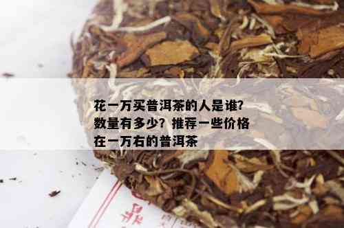 花一万买普洱茶的人是谁？数量有多少？推荐一些价格在一万右的普洱茶