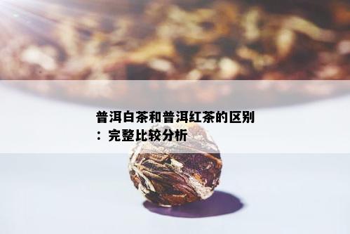 普洱白茶和普洱红茶的区别：完整比较分析