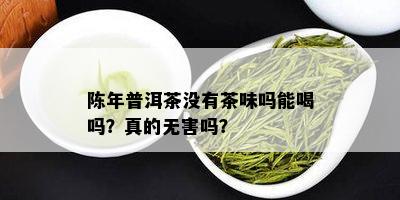 陈年普洱茶没有茶味吗能喝吗？真的无害吗？