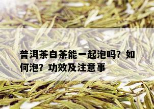 普洱茶白茶能一起泡吗？如何泡？功效及注意事