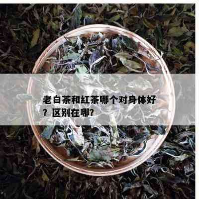 老白茶和红茶哪个对身体好？区别在哪？