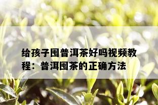 给孩子囤普洱茶好吗视频教程：普洱囤茶的正确方法