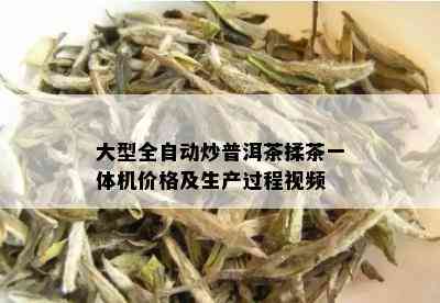 大型全自动炒普洱茶揉茶一体机价格及生产过程视频