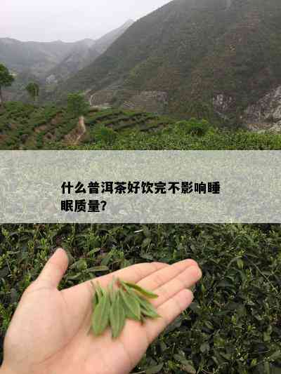 什么普洱茶好饮完不影响睡眠质量？