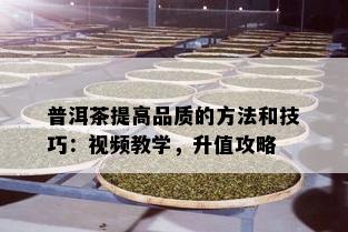 普洱茶提高品质的方法和技巧：视频教学，升值攻略