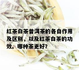 红茶白茶普洱茶的各自作用及区别，以及红茶白茶的功效。哪种茶更好？