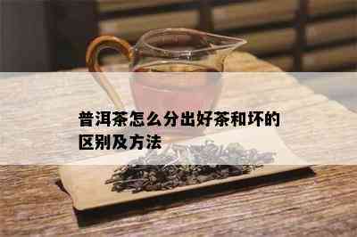 普洱茶怎么分出好茶和坏的区别及方法