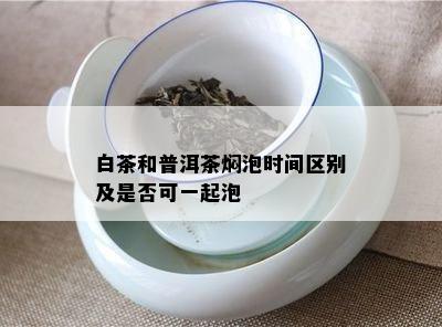 白茶和普洱茶焖泡时间区别及是否可一起泡