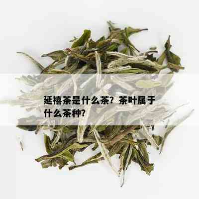 延禧茶是什么茶？茶叶属于什么茶种？