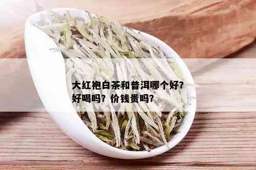 大红袍白茶和普洱哪个好？好喝吗？价钱贵吗？