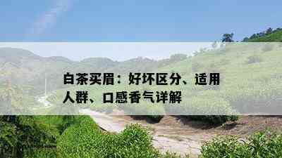 白茶买眉：好坏区分、适用人群、口感香气详解