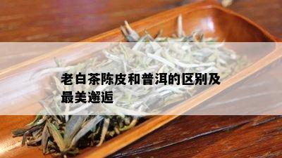 老白茶陈皮和普洱的区别及最美邂逅