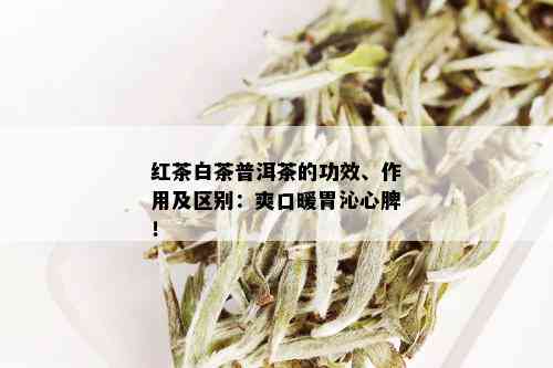 红茶白茶普洱茶的功效、作用及区别：爽口暖胃沁心脾！