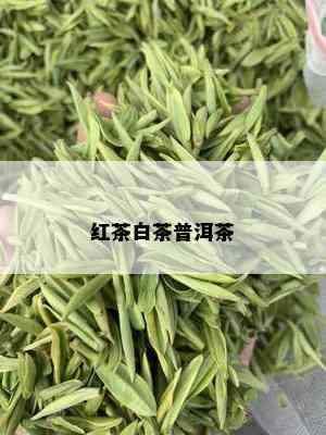 红茶白茶普洱茶