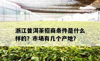 浙江普洱茶招商条件是什么样的？市场有几个产地？