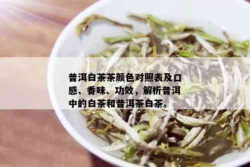 普洱白茶茶颜色对照表及口感、香味、功效，解析普洱中的白茶和普洱茶白茶。