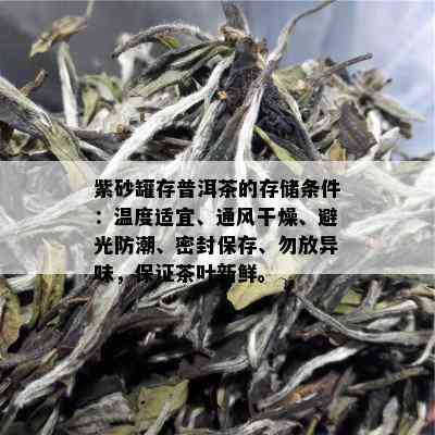 紫砂罐存普洱茶的存储条件：温度适宜、通风干燥、避光防潮、密封保存、勿放异味，保证茶叶新鲜。