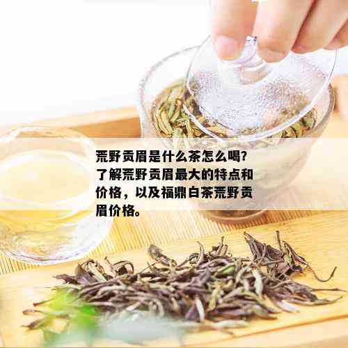 荒野贡眉是什么茶怎么喝？了解荒野贡眉更大的特点和价格，以及福鼎白茶荒野贡眉价格。