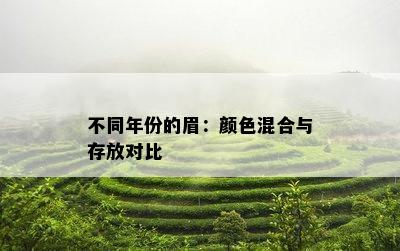 不同年份的眉：颜色混合与存放对比