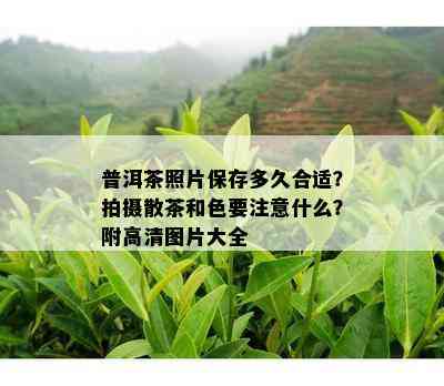 普洱茶照片保存多久合适？拍摄散茶和色要注意什么？附高清图片大全