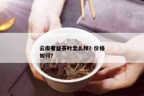 云南奢益茶叶怎么样？价格如何？