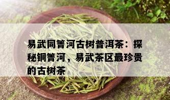 易武同箐河古树普洱茶：探秘铜箐河，易武茶区最珍贵的古树茶