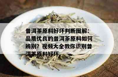 普洱茶原料好坏判断图解：品质优良的普洱茶原料如何辨别？视频大全教你识别普洱茶原料好坏。