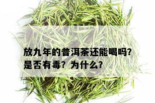 放九年的普洱茶还能喝吗？是否有？为什么？