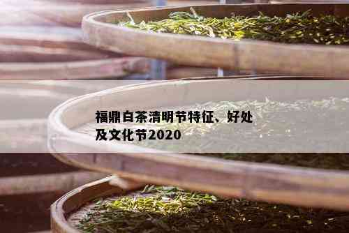 福鼎白茶清明节特征、好处及文化节2020