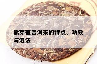 紫芽苞普洱茶的特点、功效与泡法