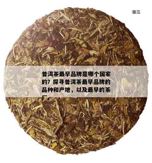 普洱茶最早品牌是哪个国家的？探寻普洱茶最早品牌的品种和产地，以及最早的茶厂。