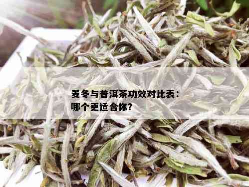 麦冬与普洱茶功效对比表：哪个更适合你？