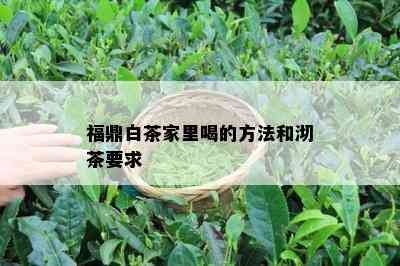 福鼎白茶家里喝的方法和沏茶要求