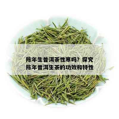 陈年生普洱茶性寒吗？探究陈年普洱生茶的功效和特性